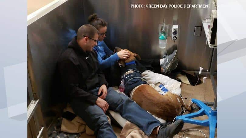 K9 Pyro with handler sitting in hospital