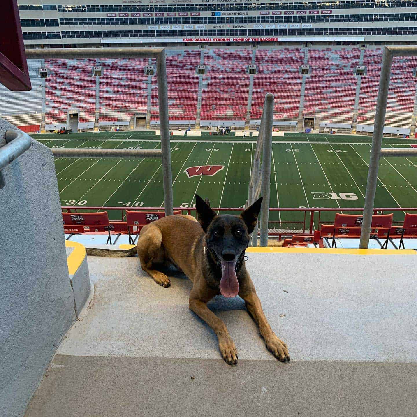 Benzi Brown County Camp Randall Stadium – Brown County K9