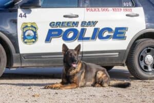 Read more about the article Green Bay Police Department K9